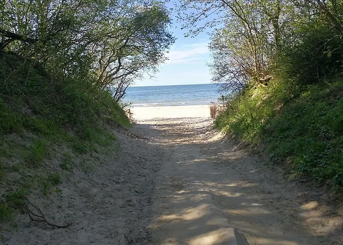 Relaks & Piec Morz * 시아노제티